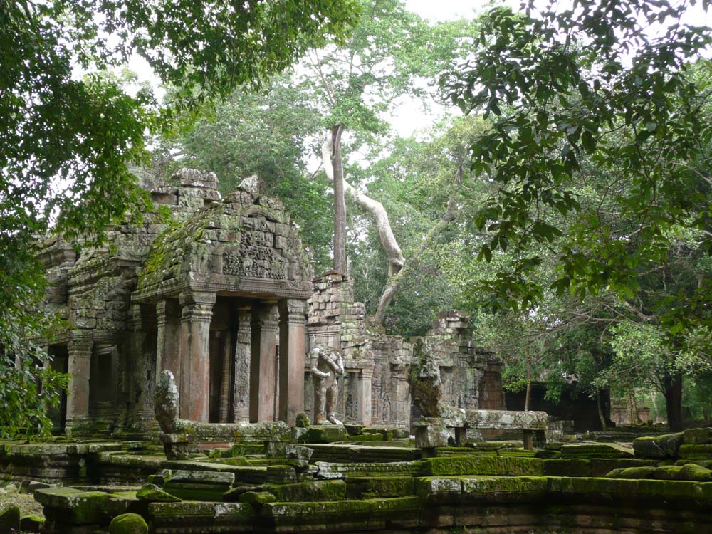 P1030353